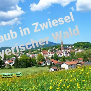 Ferienwohnung Rachel Im Bayerischen Wald Zwiesel